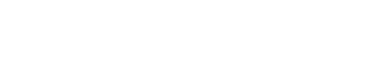 Palm Pro